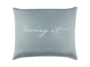 Room99 POSZEWKA ROOM99 - Loving It Jasny Szary+Mięta 50x60 5902963477132 - Poduszki dekoracyjne - miniaturka - grafika 1