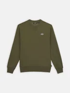 Bluzy męskie - felpa uomo dickies summerdale sweatshirt - dk0a4y6q mgr1 military green - miniaturka - grafika 1