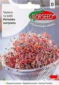 Nasiona i cebule - Portulaka warzywna, nasiona na kiełki 2g - Torseed - miniaturka - grafika 1
