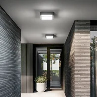 Lampy ogrodowe - Fabas Luce Lampa sufitowa zewnętrzna LED Diuk, ciemnoszara, metal, IP65 Diuk, czarny - miniaturka - grafika 1
