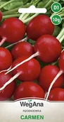 Nasiona i cebule - Rzodkiewka Carmen 10g nasiona - WegAna - miniaturka - grafika 1