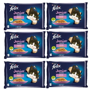 FELIX Fantastic Junior w galaretce z kurczakiem i łososiem 12x(4x85g) - Mokra karma dla kotów - miniaturka - grafika 1