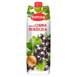 Fortuna Nektar czarna porzeczka 1 l - Soki i napoje niegazowane - miniaturka - grafika 1