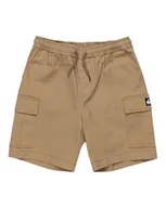 Spodenki damskie - Quiksilver Chłopięce szorty młodzieżowe Taxer Cargo - miniaturka - grafika 1