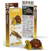 Układanki dla dzieci - Żółw Lądowy Eugy. Eko Układanka 3D - miniaturka - grafika 1