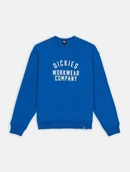 Bluzy męskie - felpa uomo dickies graphic hoodie 3 - dk0a85st j531 turkish sea - Dickies - miniaturka - grafika 1