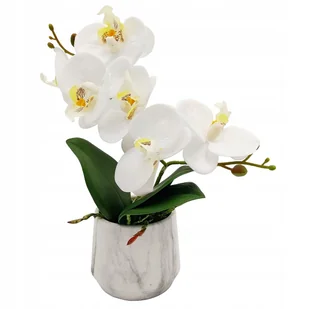 Storczyk sztuczny w doniczce biały orchidea kompozycja 30 cm dekoracja - Sztuczne kwiaty Storczyk sztuczny w doniczce biały orchidea kompozycja 30 cm dekoracja - Sztuczne kwiaty - miniaturka - grafika 1