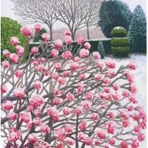 Susan Entwistle Susan Entwistle Karnet z kopertą Kalina zimowa 441467 - Kartki okolicznościowe i zaproszenia - miniaturka - grafika 2