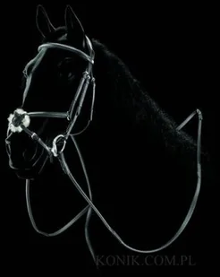 EQUILINE Ogłowie z nachrapnikiem meksykańskim czarne BJ103 - Ogłowia - miniaturka - grafika 1