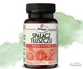 Odchudzanie i oczyszczanie - SPALACZ TŁUSZCZU Idealna sylwetka HERBAPOL 90 sztuk - miniaturka - grafika 1