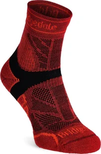 Bridgedale Skarpety Bridgedale Lightweight T2 Merino Sport 3/4 Crew - red 48+ - Skarpety termoaktywne - miniaturka - grafika 1