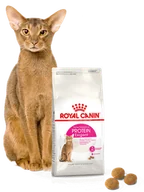 Mokra karma dla kotów - Royal Canin Exigent 42 Protein Preference 10kg + Koszulka GRATIS! 230180 - miniaturka - grafika 1