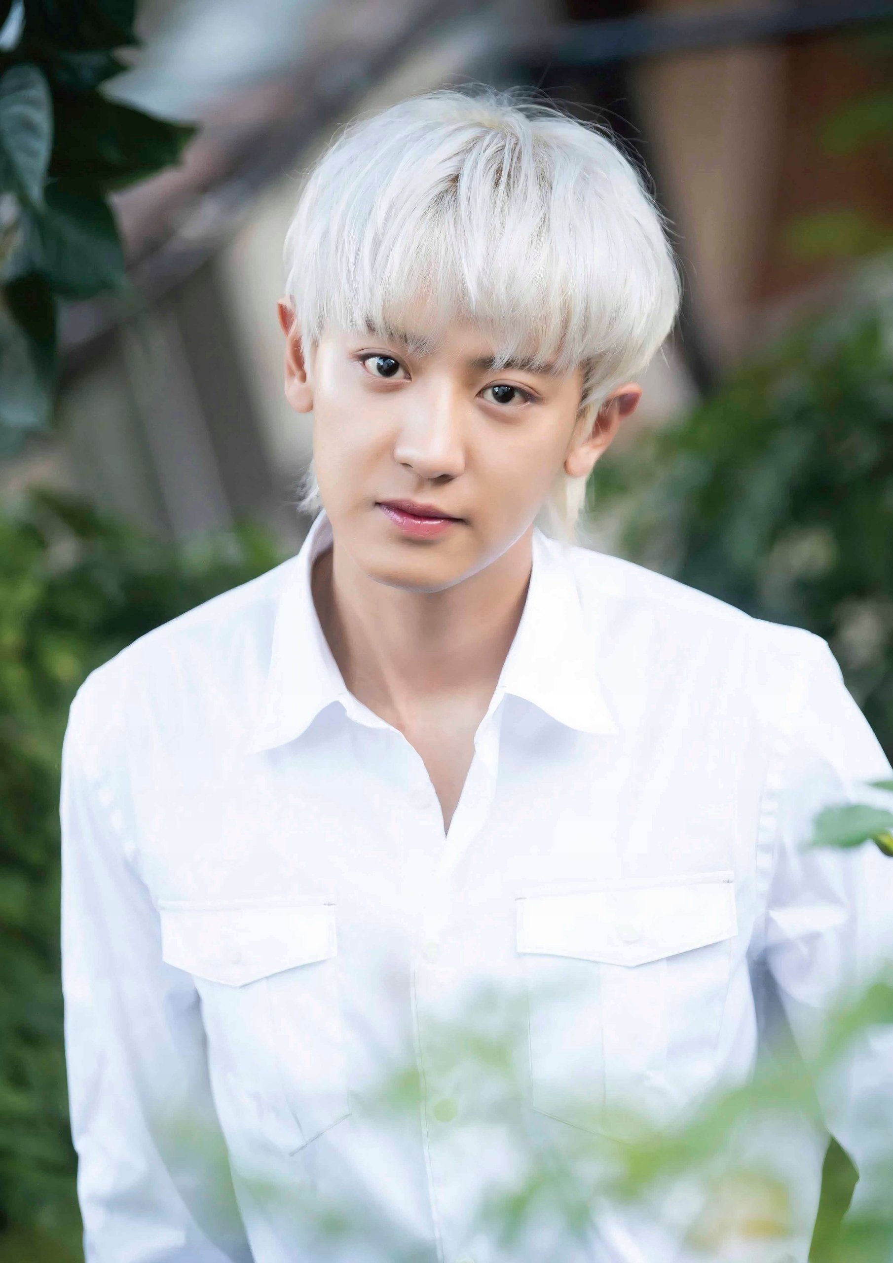Plakat A2 Exo K-Pop Kpop Korea Muzyka Chanyeol