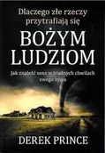 Religia i religioznawstwo - Dlaczego złe rzeczy przytrafiają się Bożym ludziom. Jak znaleźć sens w trudnych chwilach swego życia - miniaturka - grafika 1