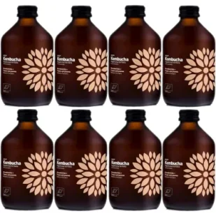 Vigo Yoko Kombucha z brzoskwinią i trawą cytrynową Zestaw 8 x 330 ml Bio - Soki i napoje niegazowane - miniaturka - grafika 1