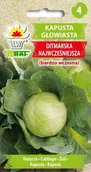 Nasiona i cebule - Kapusta głowiasta biała DITMARSKA NAJWCZEŚNIEJSZA (wczesna) Brassica oleracea L. var capitata f. alba - miniaturka - grafika 1