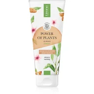 Kosmetyki do kąpieli - Lirene POWER OF PLANTS MIGDAŁ Kremowy żel pod prysznic 200 ml - miniaturka - grafika 1