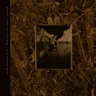 Winyle - Come On Pilgrim... It's Surfer Rosa - miniaturka - grafika 1