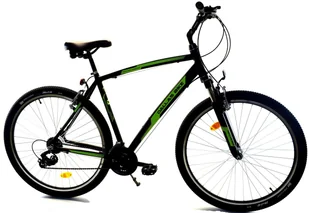 Rower Dallas MTB 29" 21spd - czarny z zielonym - Rowery - miniaturka - grafika 1