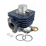 Części motocyklowe - Cylinder Kit kompletny Carenzi Sport 50 ccm żeliwo szare do Peugeot Ludix One/Trend/Sanke/Classic/Vivacity 2T od 2008 / Kisbee 2T - miniaturka - grafika 1