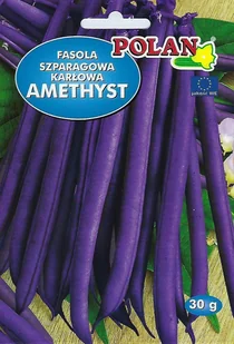 Fasola Amethyst 30 g POLAN - Nasiona i cebule - miniaturka - grafika 1