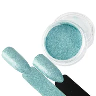 Ozdoby do paznokci - Allepaznokcie Pyłek do paznokci Deja Vu 3 ml 1 g Nr 14 - miniaturka - grafika 1