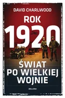 Historia świata - Rok 1920 - miniaturka - grafika 1