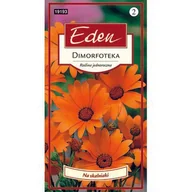 Nasiona i cebule - Dimorfoteka Złotokwiat 1 g Eden - miniaturka - grafika 1