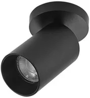 Lampy sufitowe - Arcchio - Brinja 1 Lampa Sufitowa Black Arcchio - miniaturka - grafika 1