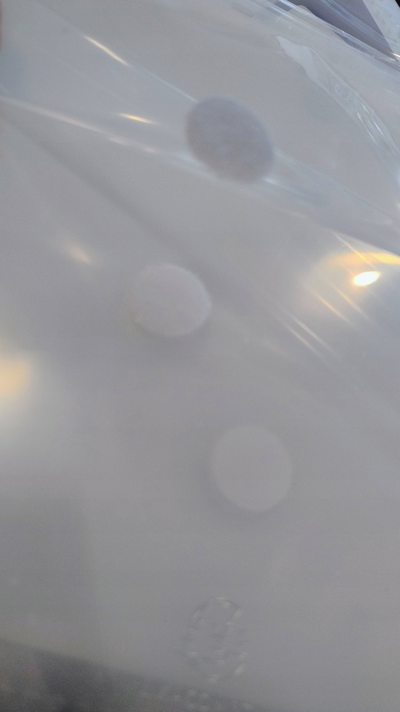 Exacompta 57381E, 210 x 297 mm A4, Polypropylene PP