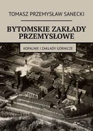 E-booki - historia - Bytomskie zakłady przemysłowe - miniaturka - grafika 1