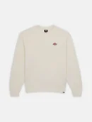 Bluzy męskie - felpa uomo dickies millersburg crew dk0a4ylz ecr ecru - miniaturka - grafika 1