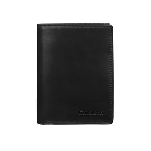 Portfel skórzany męski Canaletto PM1555s163GR RFID - Portfele - miniaturka - grafika 1
