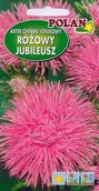 Nasiona i cebule - Aster igiełkowy Jubileusz 1+0.2 g POLAN - miniaturka - grafika 1