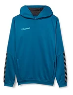 Bluzy dla chłopców - Hummel Chłopięca bluza z kapturem Hmlauthentic Kids Poly Hoodie niebieski Celestial 116 - miniaturka - grafika 1