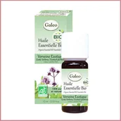 Aromaterapia - Galeo, Olejek eteryczny BIO z egzotycznej werbeny, 10 ml - miniaturka - grafika 1
