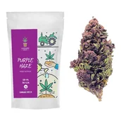 Zioła - Purple Haze Susz Konopny CBD <8% - 1 gram - miniaturka - grafika 1