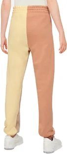 NIKE DRESY NSW JOGGERS SWOOSH DJ6151-219 S - Spodnie sportowe damskie - miniaturka - grafika 1