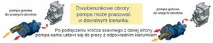 DOSTAWA GRATIS! 01572118 Pompa tłoczkowa dwukierunkowa (objętość robocza: 12 cm³, maksymalna prędkość obrotowa: 3150 min-1 /obr/min) - Pompy wodne - miniaturka - grafika 3