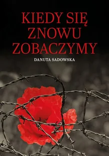 kiedy się znowu zobaczymy - Powieści historyczne i biograficzne - miniaturka - grafika 1