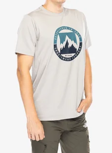 Koszulka szybkoschnąca Columbia Ice Lake II SS Tee - flint grey/boundless borders - Koszulki i topy damskie - miniaturka - grafika 1