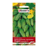 Nasiona i cebule - Ogórek Hugon - 5 g - miniaturka - grafika 1