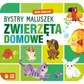 Książki edukacyjne - Zielona Sowa Bystry maluszek. Zwierzęta domowe - miniaturka - grafika 1