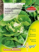 Nasiona i cebule - Nasiona Sałata głowiasta masłowa Królowa Majowych Torseed- Torseed - miniaturka - grafika 1