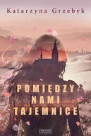 Literatura obyczajowa - Pomiędzy nami tajemnice - miniaturka - grafika 1