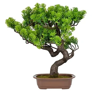 MULTI CASA MEX CH02524359 sztuczna roślina doniczkowa bonsai H.42, zielona, tworzywo sztuczne, poliester, bardzo szeroka - Sztuczne kwiaty - miniaturka - grafika 1