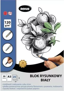 Blok rysunkowy A3/20K biały Premium - Beniamin - Szkolne artykuły papiernicze - miniaturka - grafika 1