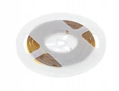 Taśmy LED - Taśma Led Cob Gtv 12V 480 Led/m 8MM Bez Żelu Kolor Zimny Biały - miniaturka - grafika 1