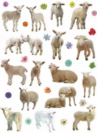 Zabawki kreatywne - naklejki papierowe owce, kwiaty - miniaturka - grafika 1