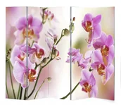 Parawany - Wewnętrzny parawan z dustronnym nadrukiem P9-W39 - miniaturka - grafika 1